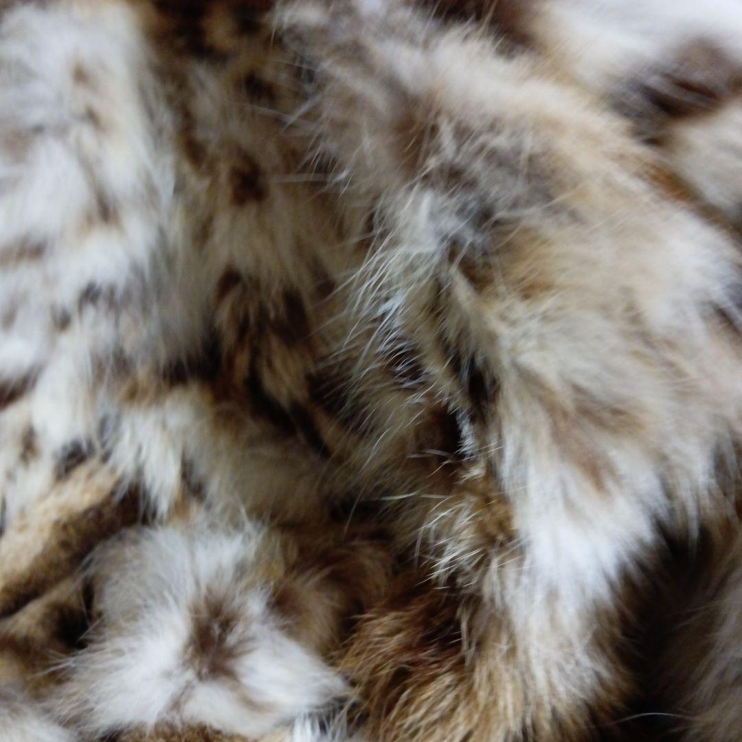 白とベージュの山猫の柄のロングコートでございます。