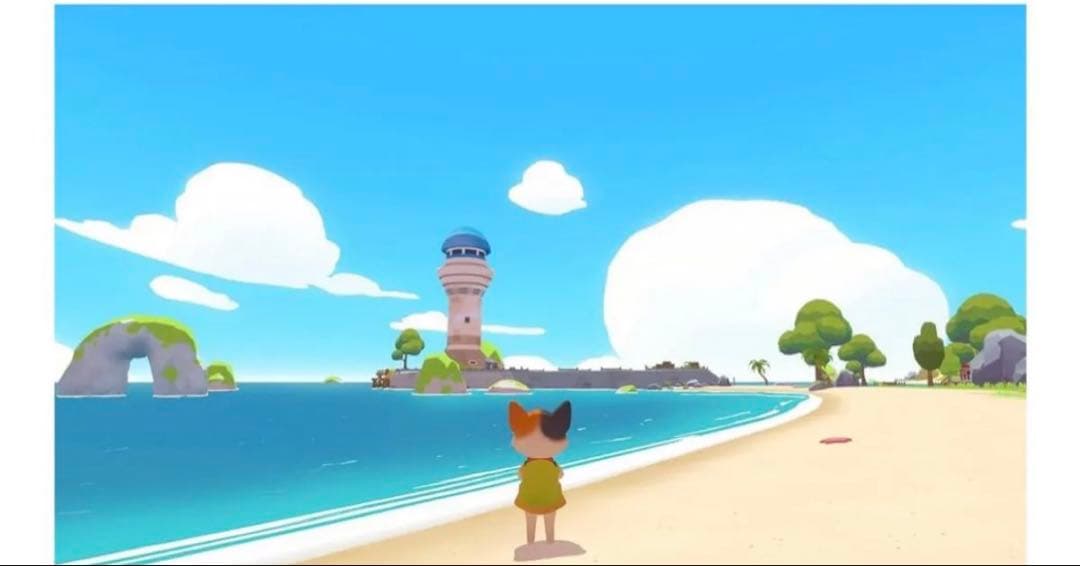 Nintendo Switch Petit  switch