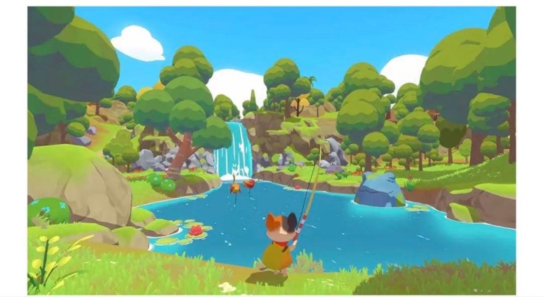 Nintendo Switch Petit  switch