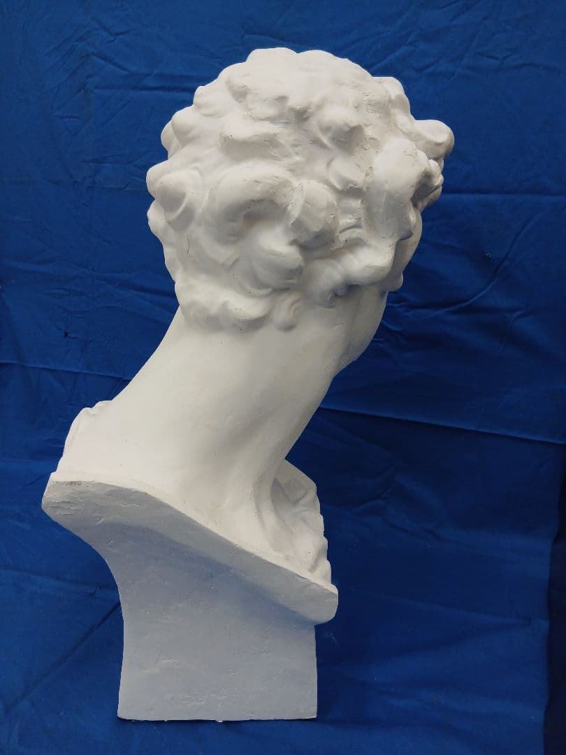 メディチ首像。60cm