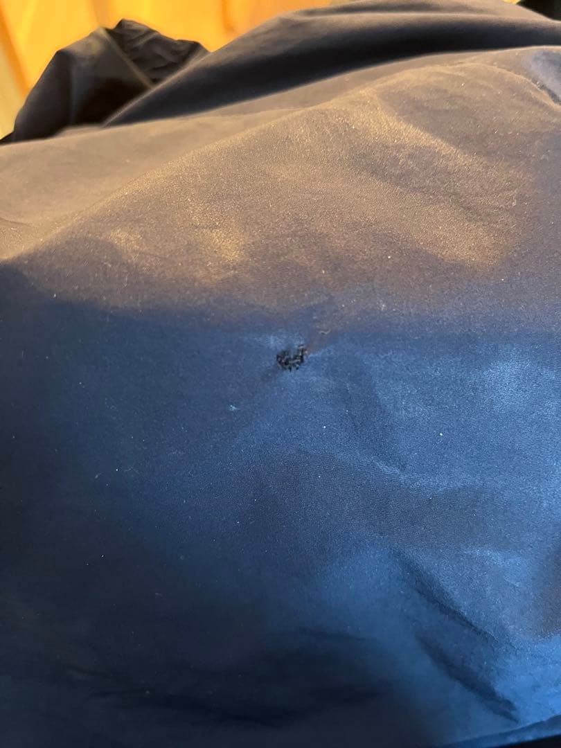 【在原みゆ紀　柴田ひかり】 umbro イングランド　ナイロンジャケット