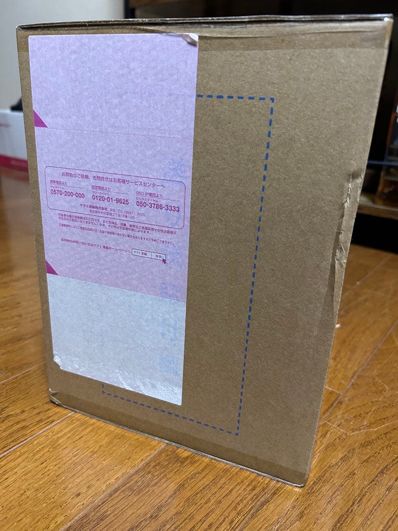 POPワンピース “Evolutionary History\" ステューシー