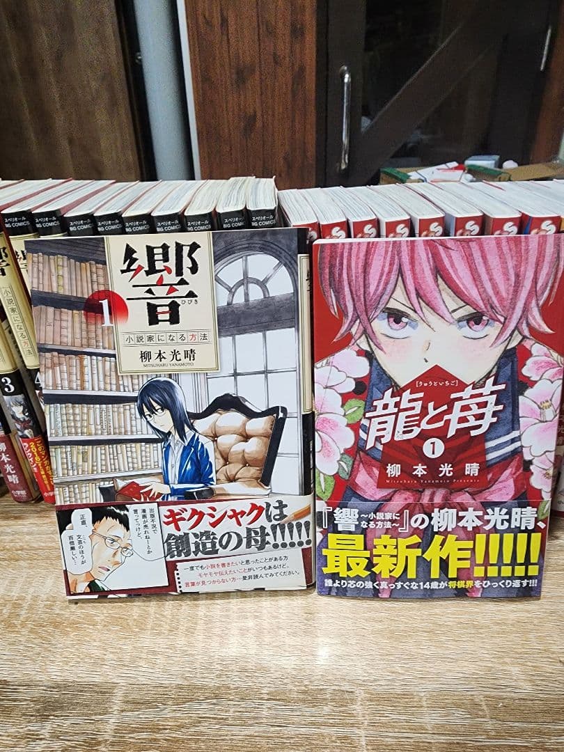 momo　柳本光晴、セット。。龍と苺。女の子が死ぬ話。きっと可愛い女の子だ