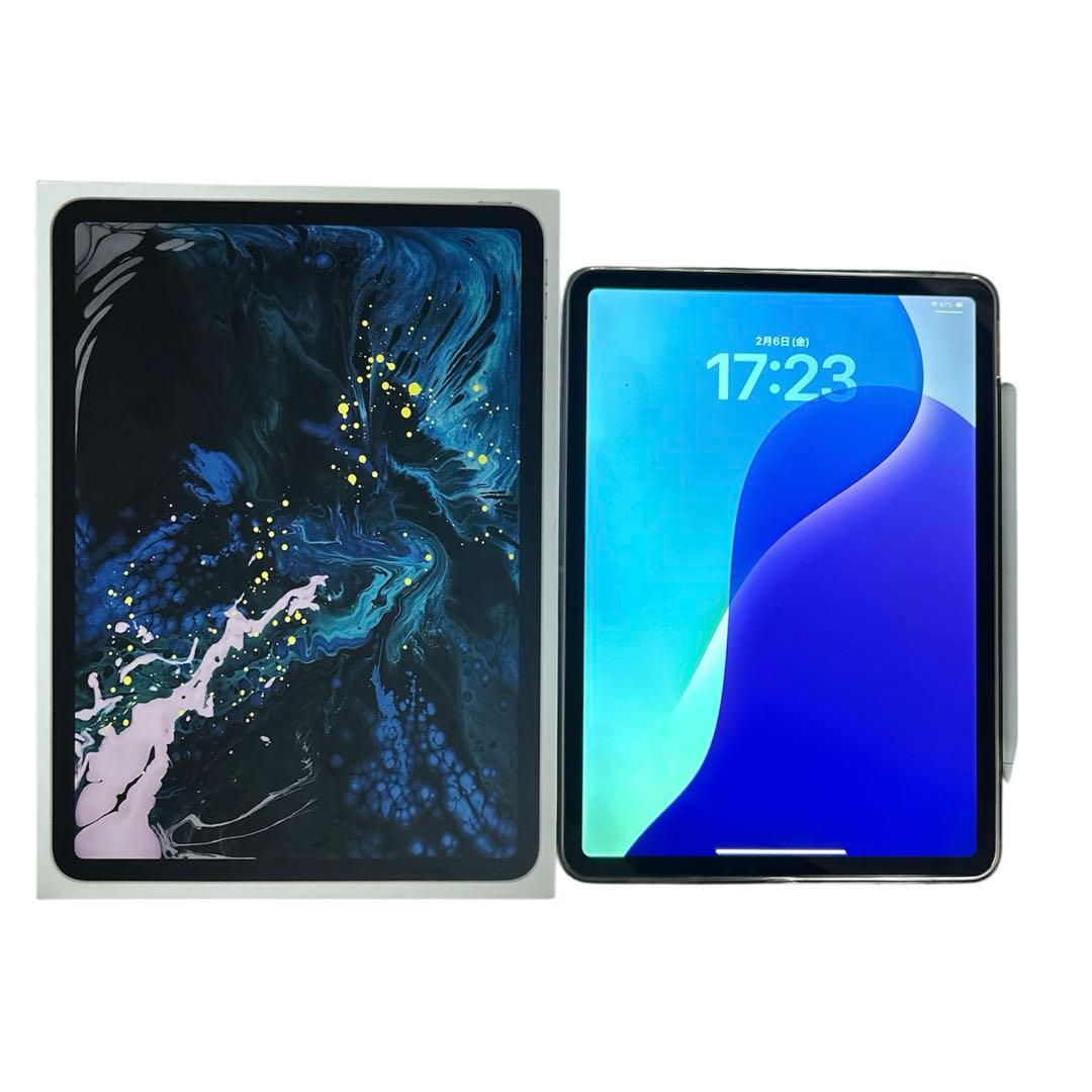 iPad Pro 第一世代 Wi-Fi 512gb 11インチ ペン ケース付き