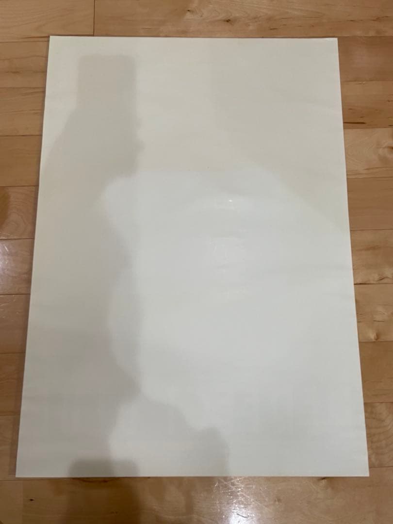 額縁入り　ポスター　PERFECT BLUE パーフェクトブルー