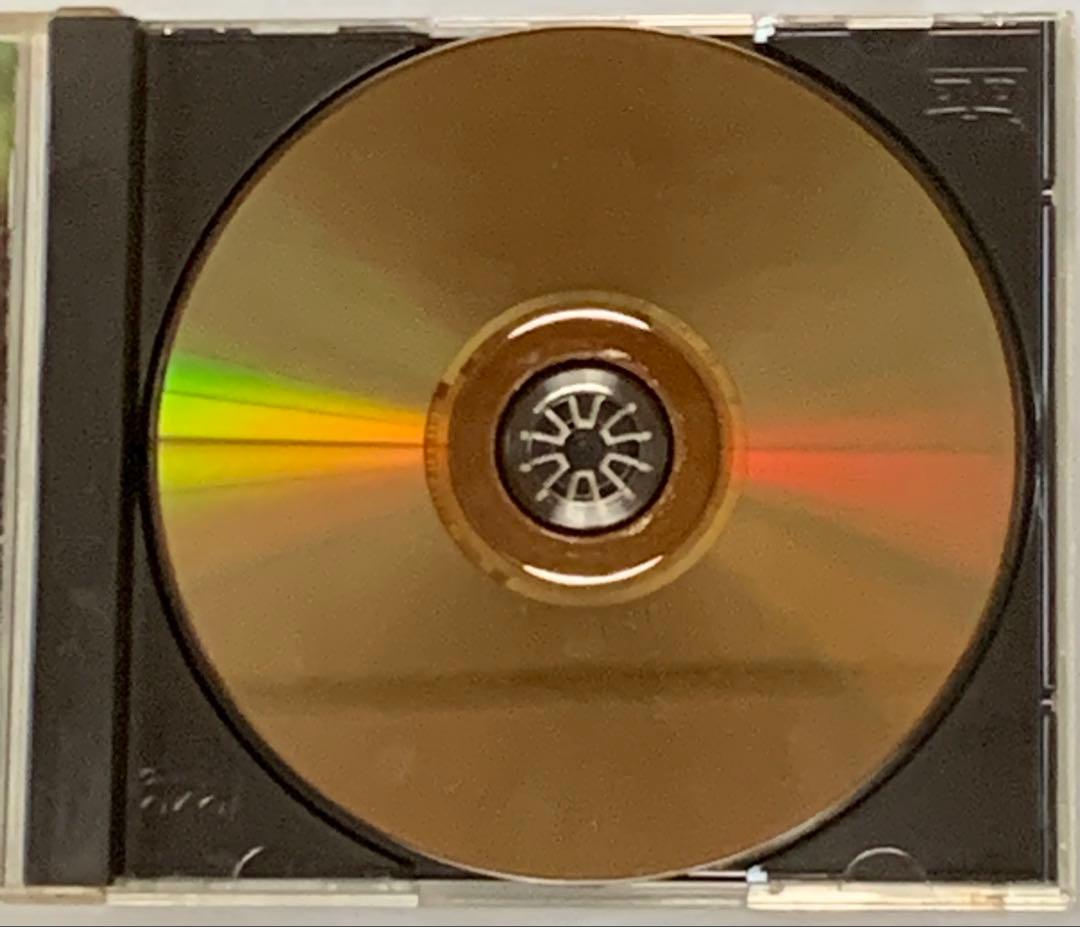 THE STREET SLIDERS LAST DAY DVD 廃盤 入手困難