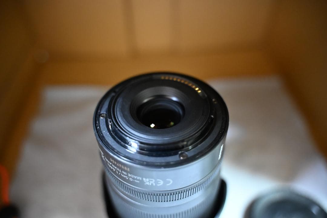 NIKKOR Z DX 50-250mm f/4.5-6.3 VR 望遠ズーム