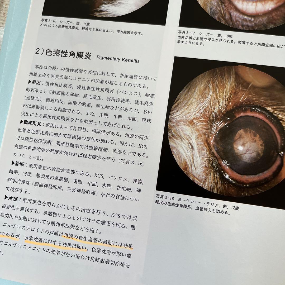 【裁断済】小動物臨床 眼病カラーアトラス　よくみる眼科疾患 58 2冊セット