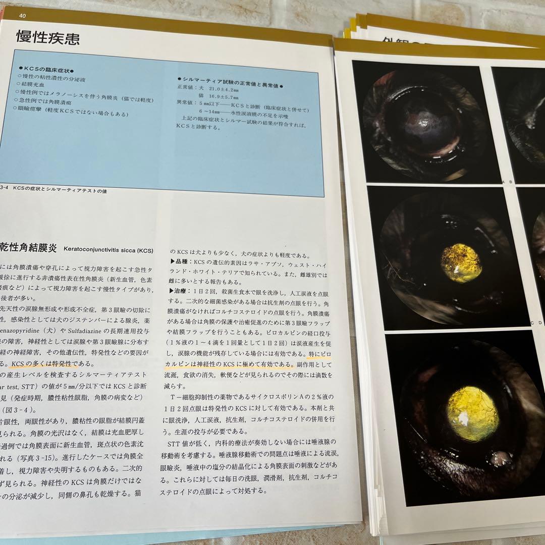 【裁断済】小動物臨床 眼病カラーアトラス　よくみる眼科疾患 58 2冊セット