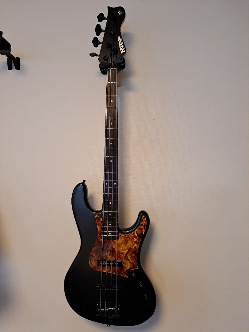 ぺ*る様 FreedomCustomGuitarResearch Anthra