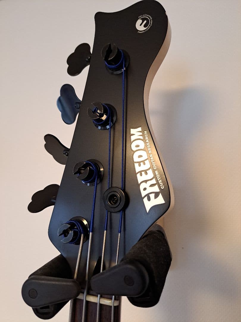 ぺ*る様 FreedomCustomGuitarResearch Anthra