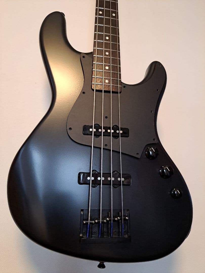 ぺ*る様 FreedomCustomGuitarResearch Anthra