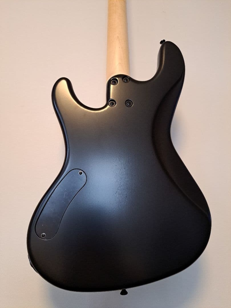 ぺ*る様 FreedomCustomGuitarResearch Anthra