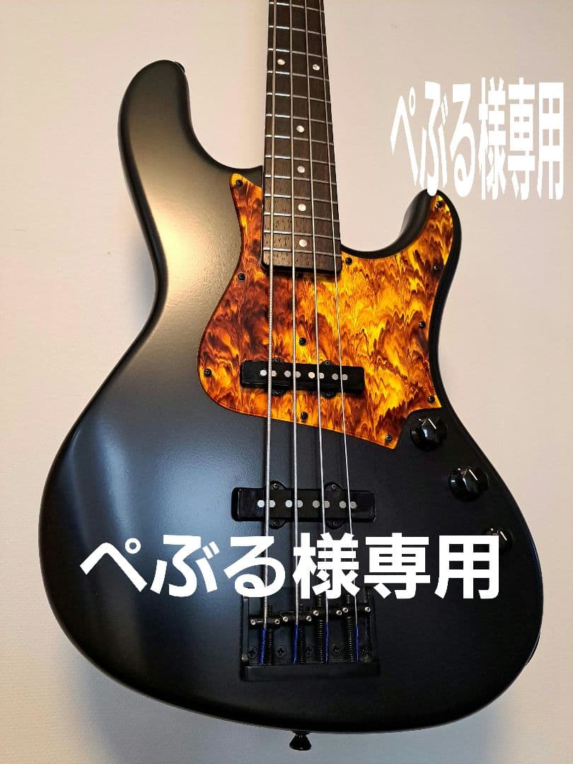 ぺ*る様 FreedomCustomGuitarResearch Anthra