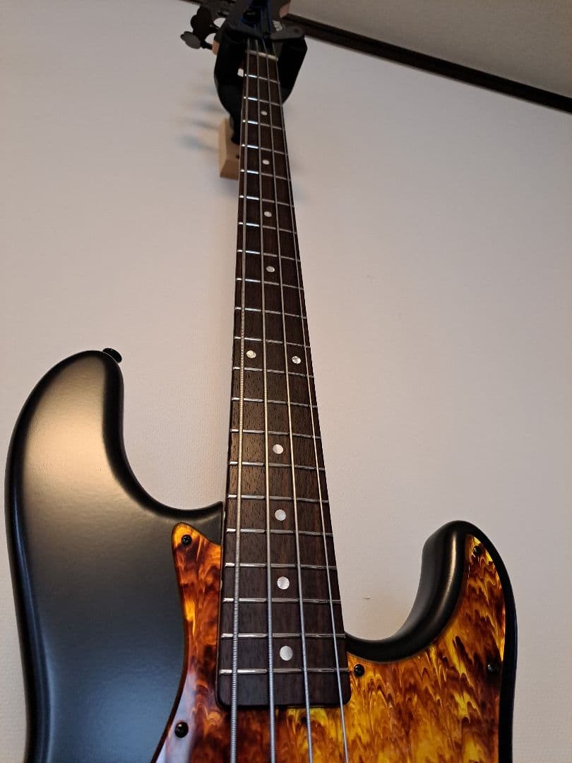 ぺ*る様 FreedomCustomGuitarResearch Anthra