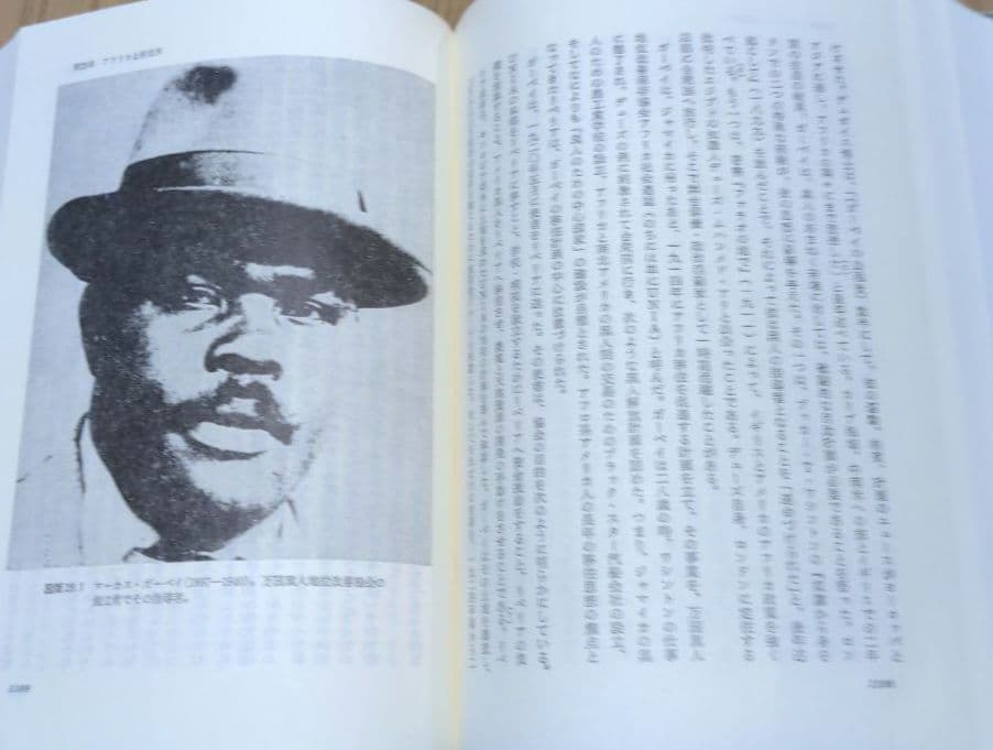 ユネスコ アフリカの歴史 第7巻