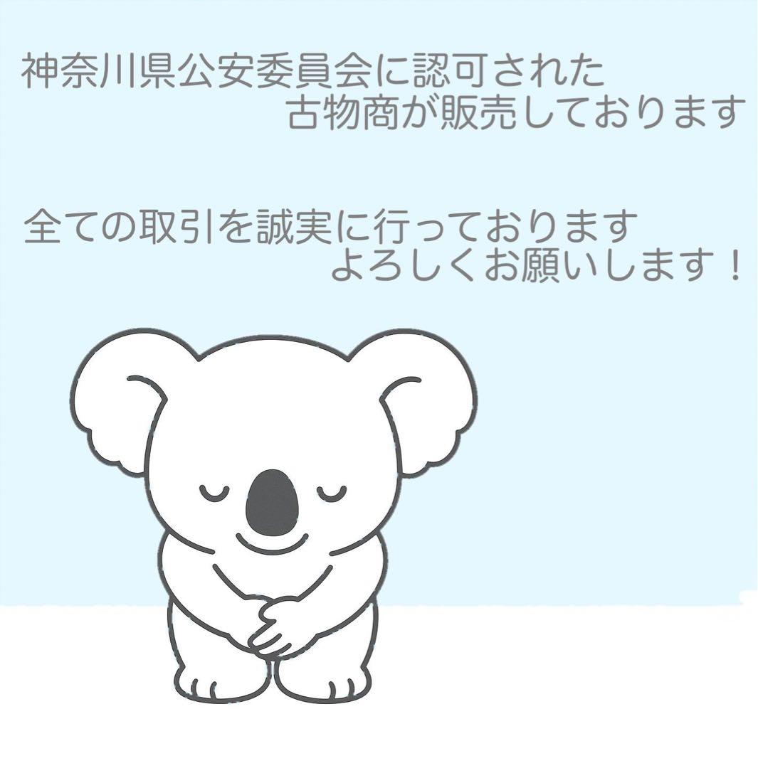 Canon純正 55-250mm 望遠レンズ 極美品 a5232