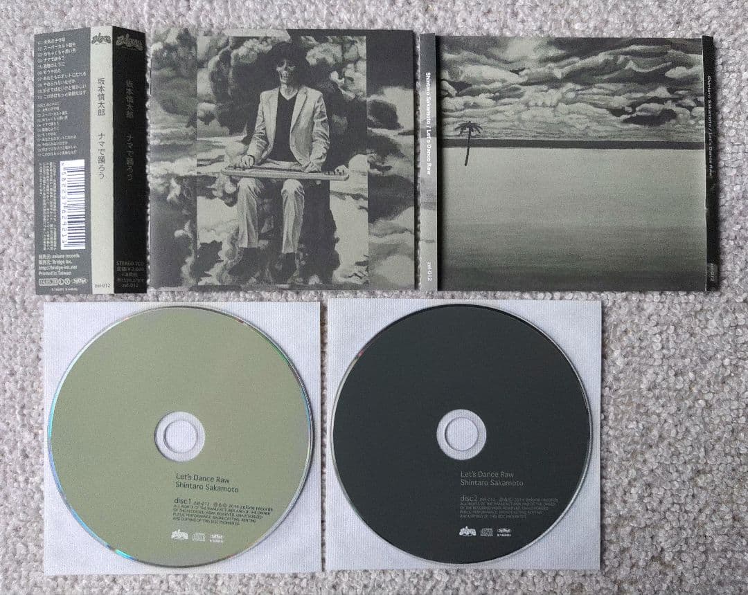 Shintaro Sakamoto 坂本慎太郎 Let's Dance Raw