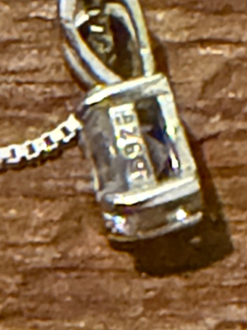 御売約御礼　925刻印のペンダントネックレス+ギミック二連ネックレス＋SVピアス