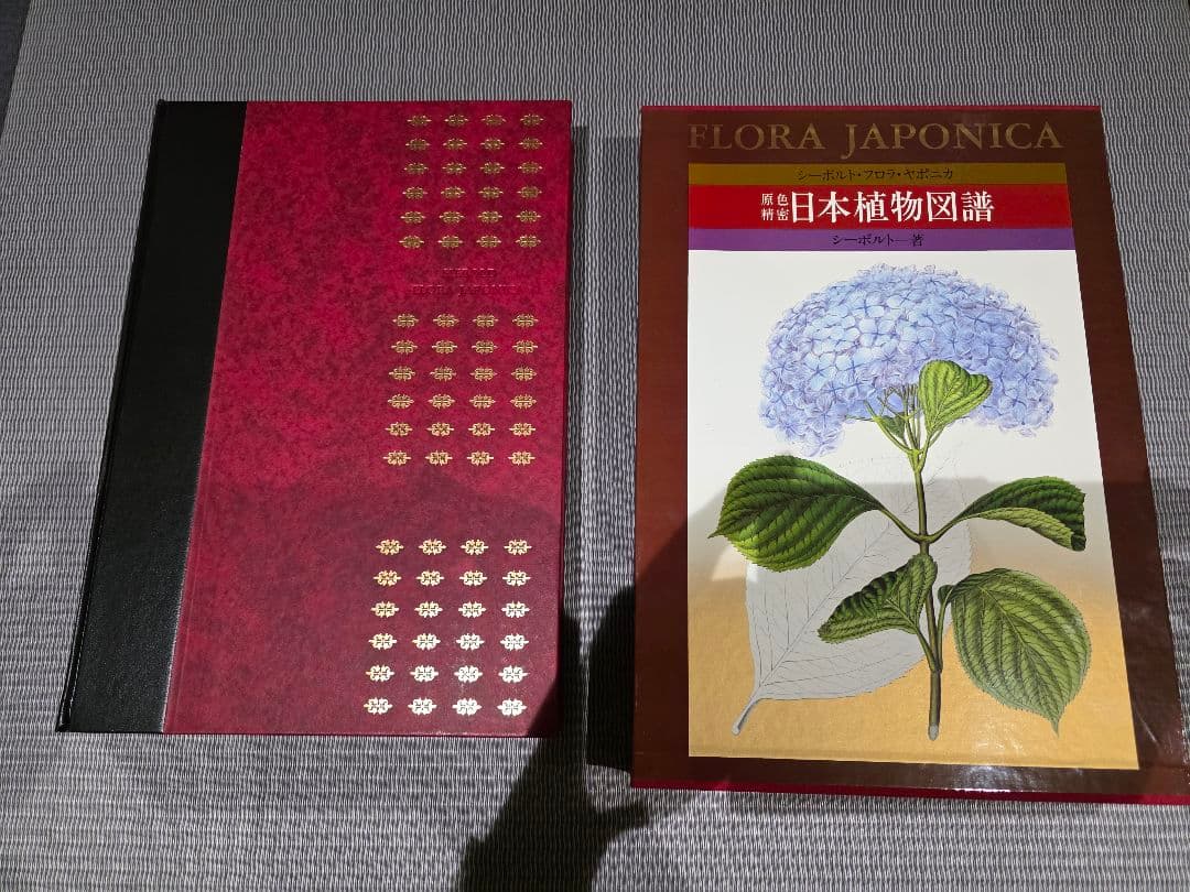 シーボルト著　原色精密 日本植物図譜