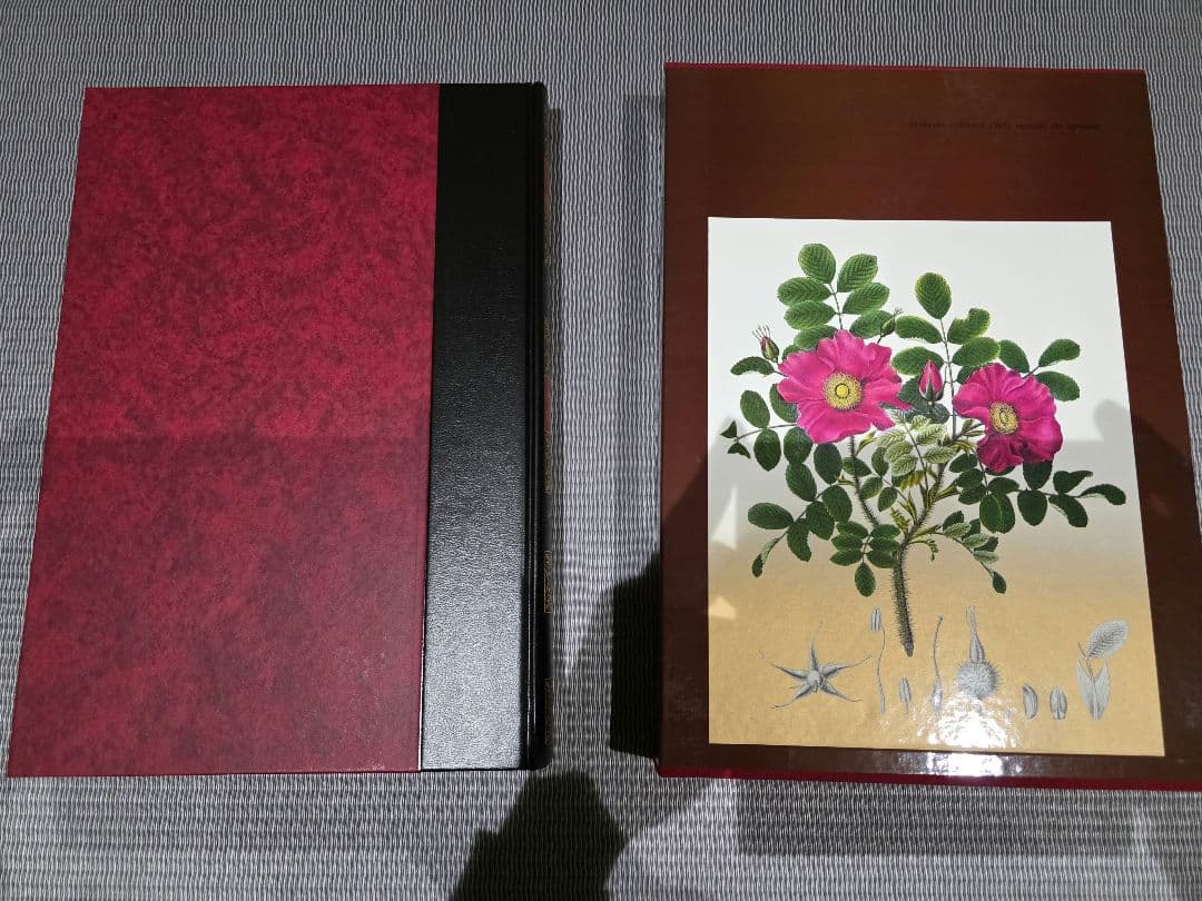 シーボルト著　原色精密 日本植物図譜