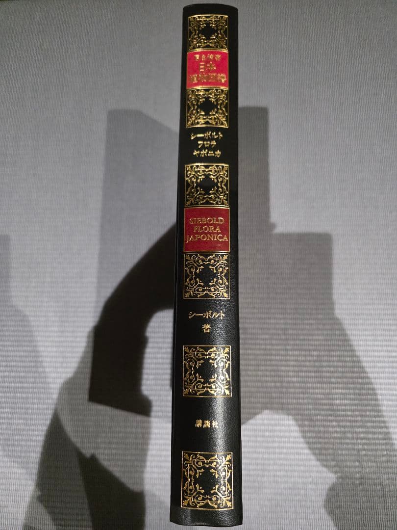 シーボルト著　原色精密 日本植物図譜
