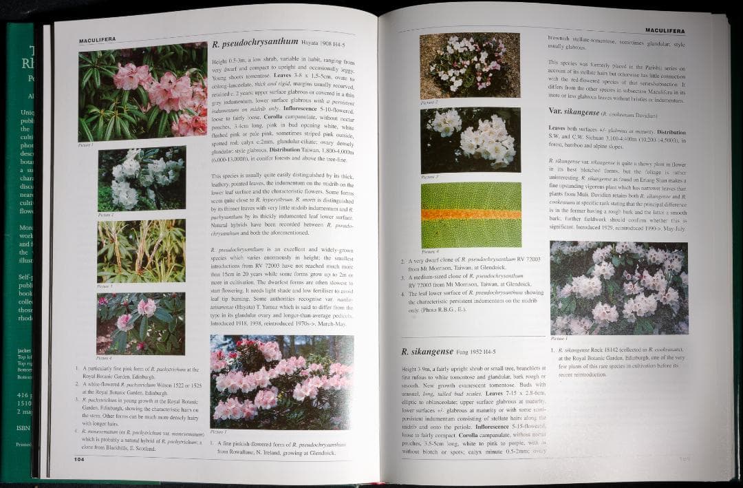 原種ツツジ属辞典 The Encycl. of Rhododendron sp.