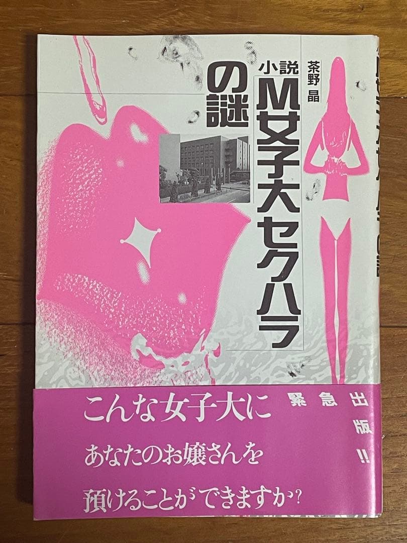 小説 M女子大セクハラの謎 茶野晶