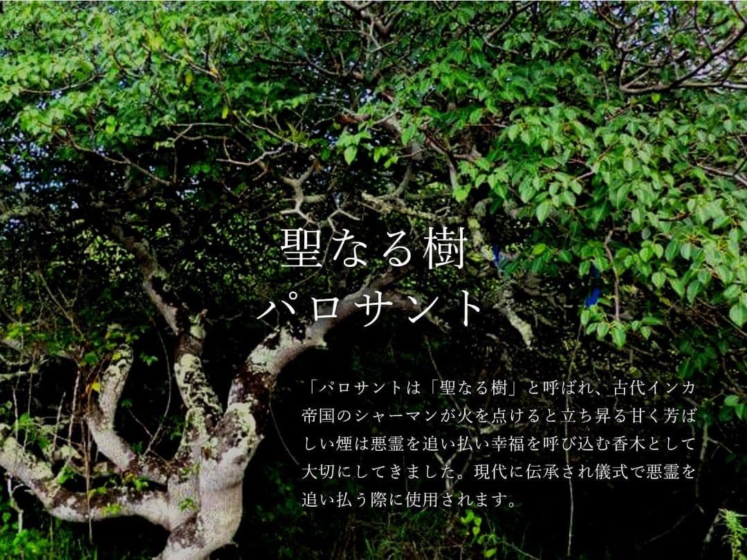 5kg★限定特選品★希少レア激安☆聖なる樹【神秘的な香り♢バロサントウッド香】♥
