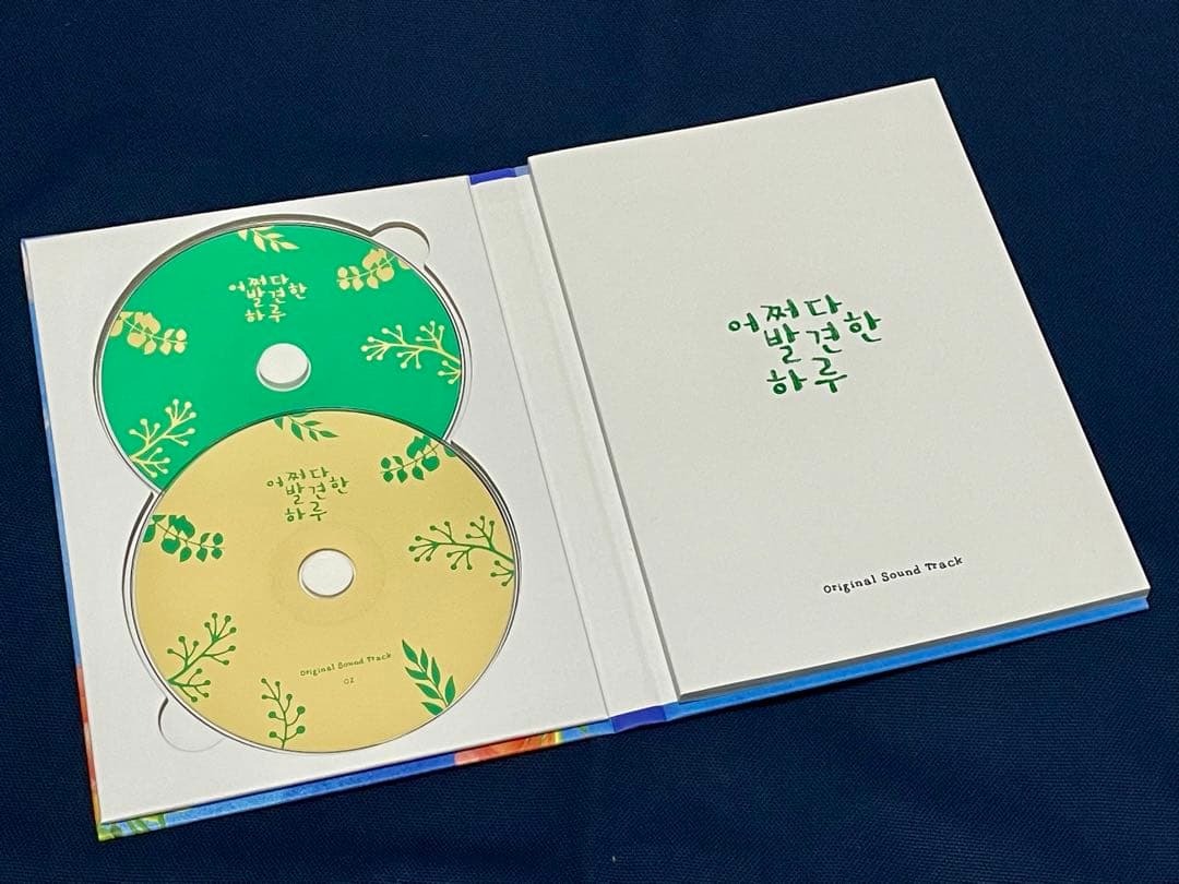 ★韓国ドラマ『偶然見つけたハル』韓国盤OST キムヘユン ロウン イジェウク★