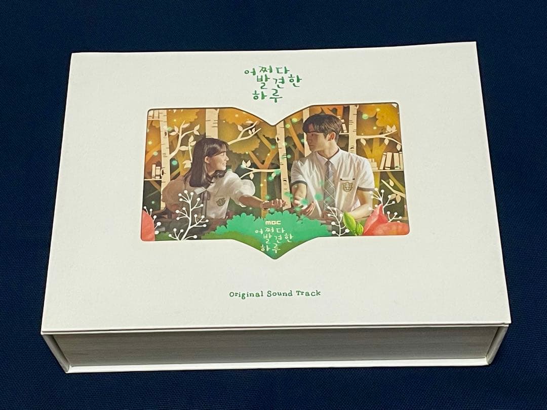 ★韓国ドラマ『偶然見つけたハル』韓国盤OST キムヘユン ロウン イジェウク★