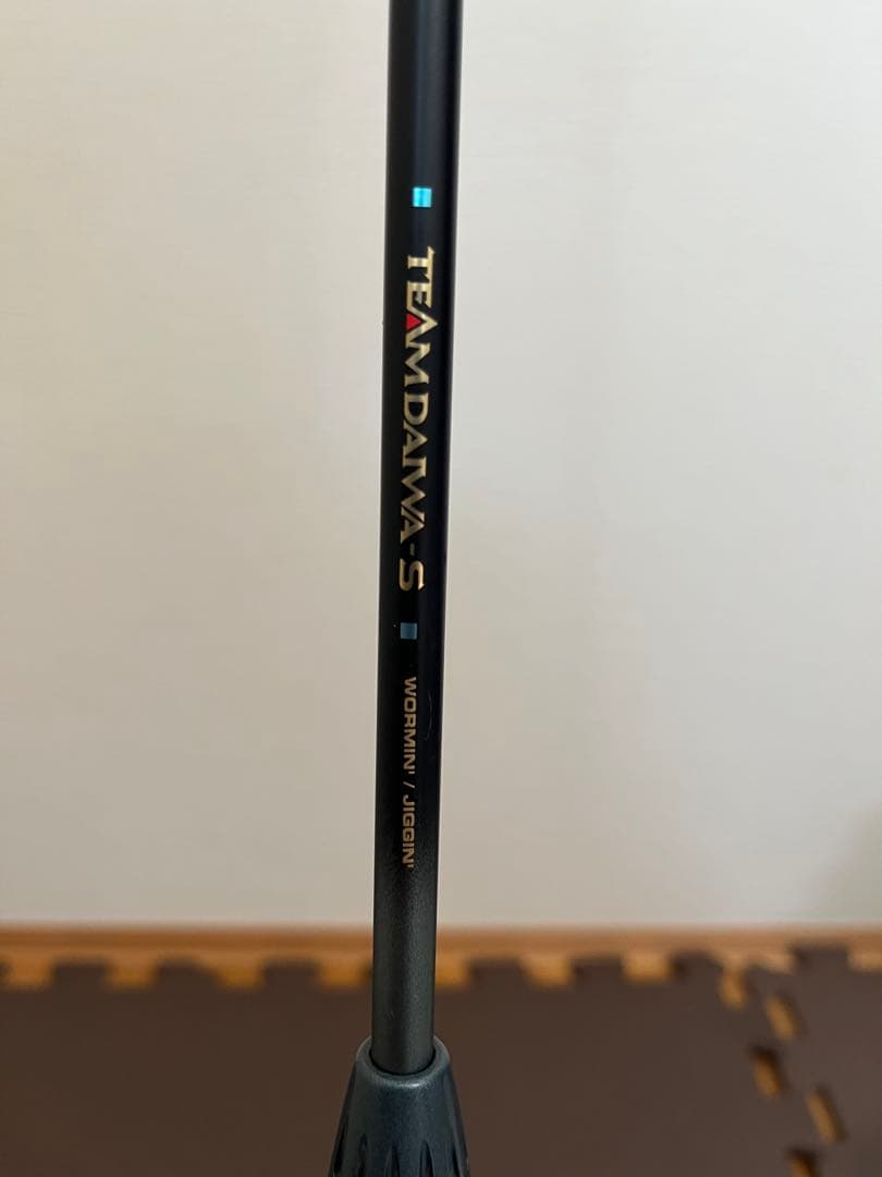 ダイワ チームダイワ S TD-S 601MFB-S ベイトロッド バス 釣り