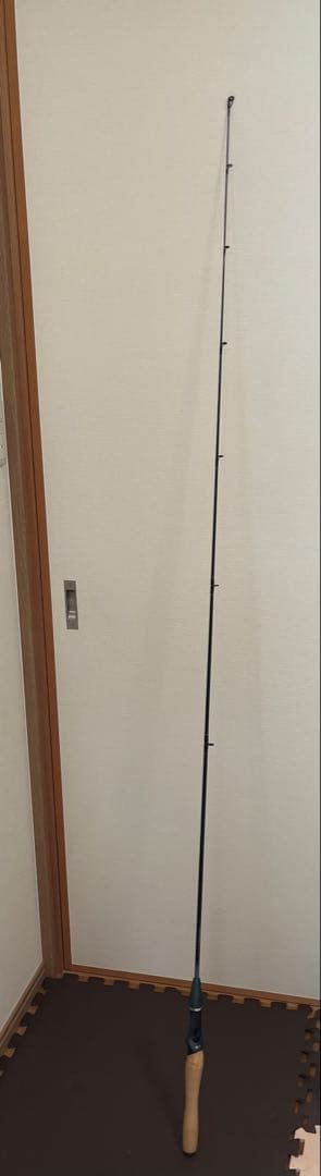 ダイワ チームダイワ S TD-S 601MFB-S ベイトロッド バス 釣り