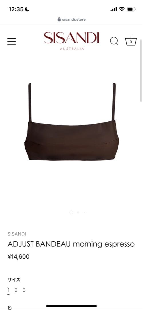 SISANDI ブラウン セパレート水着
