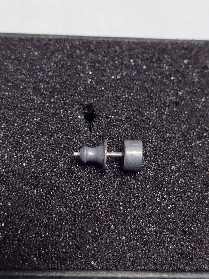 スタンリーゲス　ラウンドシェルピアス Stanley Guess