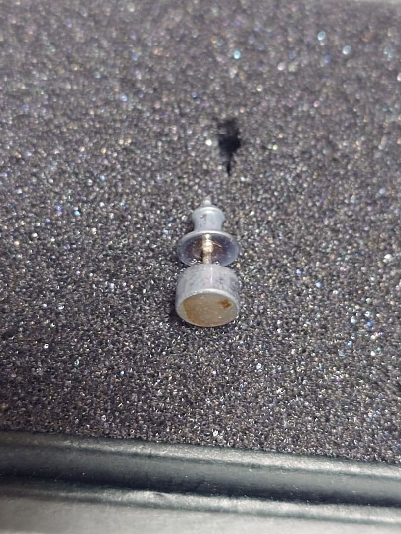 スタンリーゲス　ラウンドシェルピアス Stanley Guess