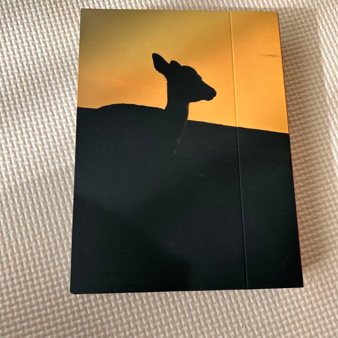 鹿男あをによし DVD-BOX ディレクターズカット完全版〈6枚組〉