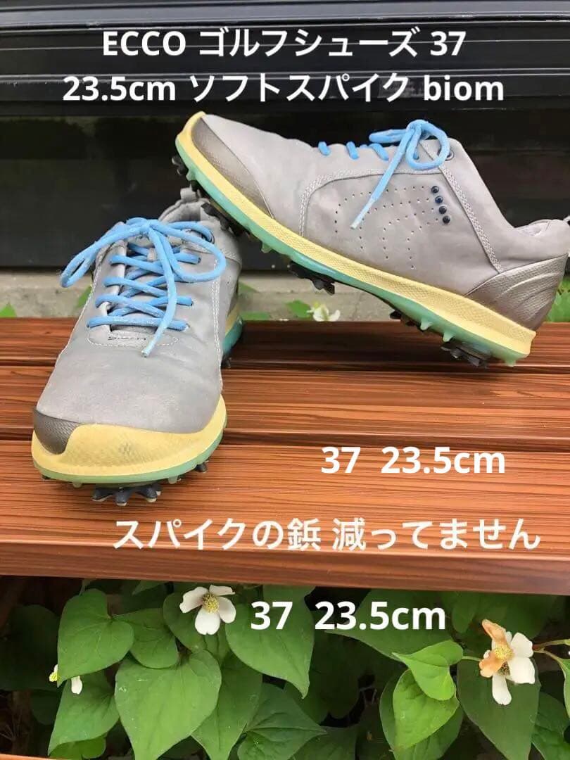 344番 ECCOゴルフシューズbiom グレー37 23.5cmソフトスパイク