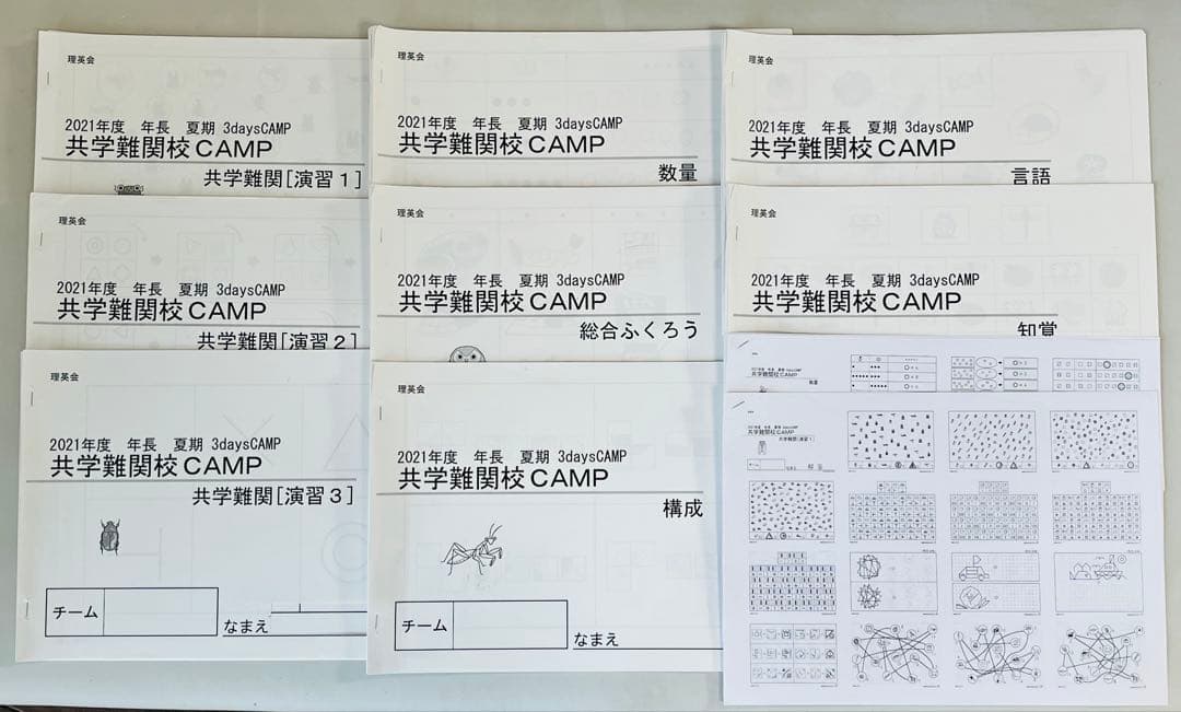 理英会 夏期3days CAMP共学難関校