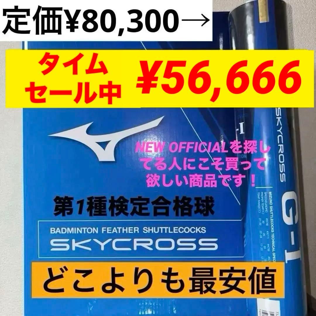 バドミントンシャトル ミズノ MIZUNO スカイクロス ニューオフィシャル