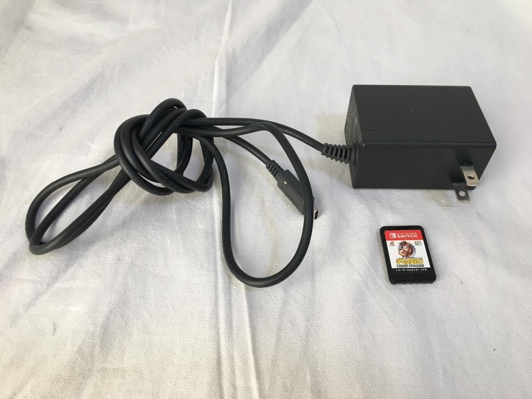 【初期化済】Nintendo Switch Lite ソフト付 ターコイズ