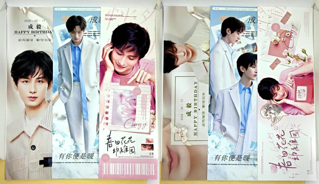 B【成毅】手幅ポスター45枚(リフィル入)➕専用バインダー(赴山海 チョンイー)