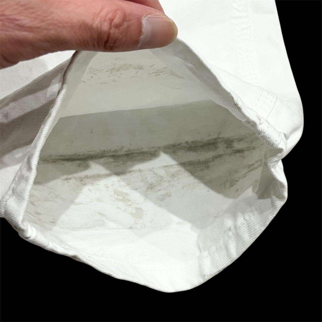 Dickies SHRWIN WILLIAMS ペンキ ペインター パンツW32