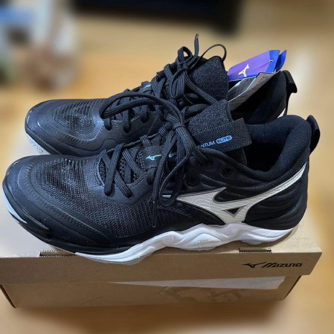 ミズノ　ウエーブモーメンタム エリート24㎝