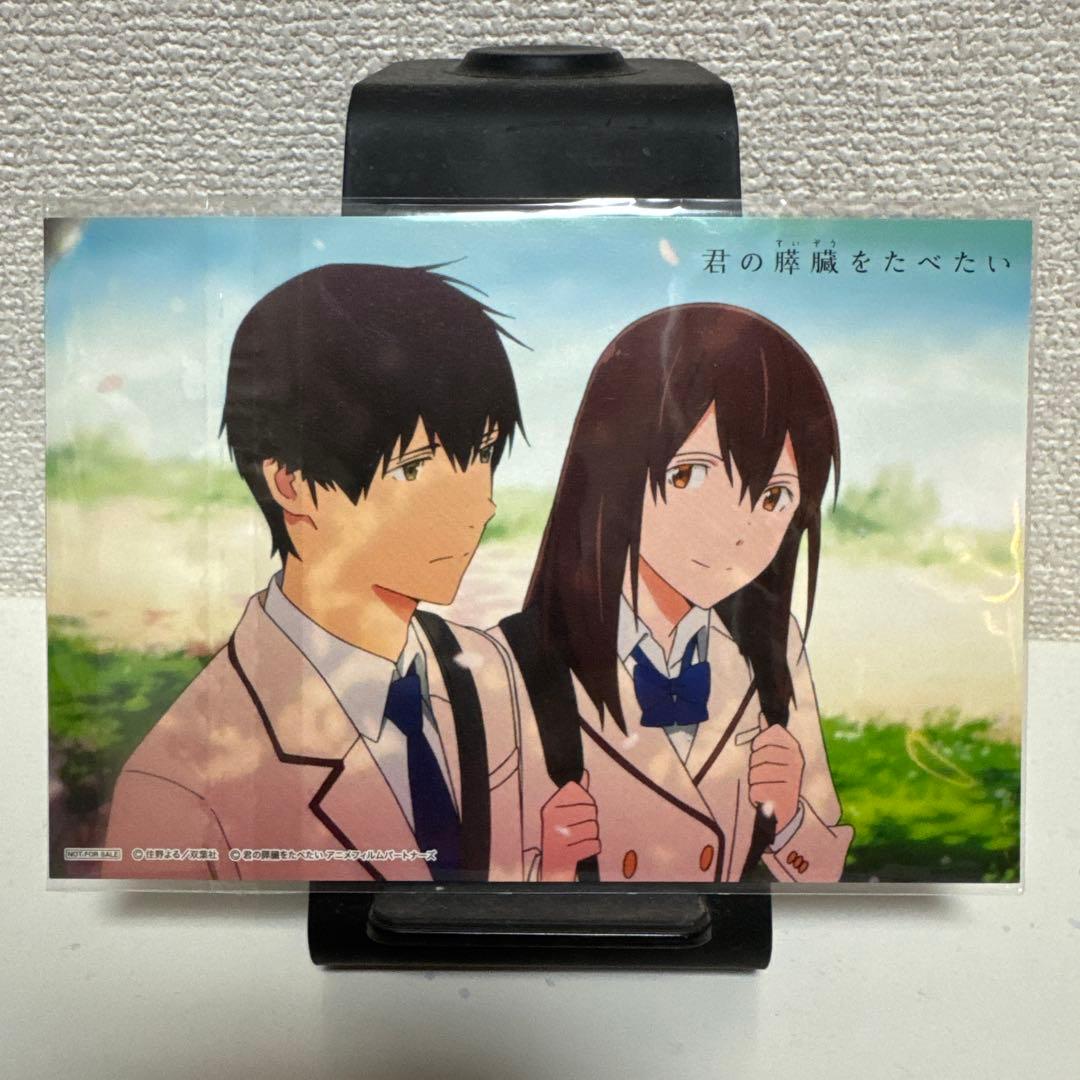 劇場アニメ 君の膵臓をたべたい('18君の膵臓をたべたい アニメフィルムパート…