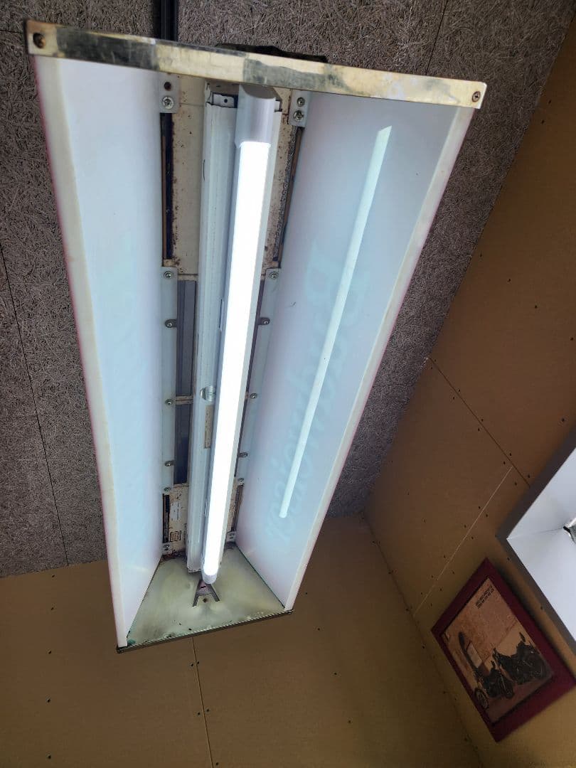 Budweiser プールバーライト