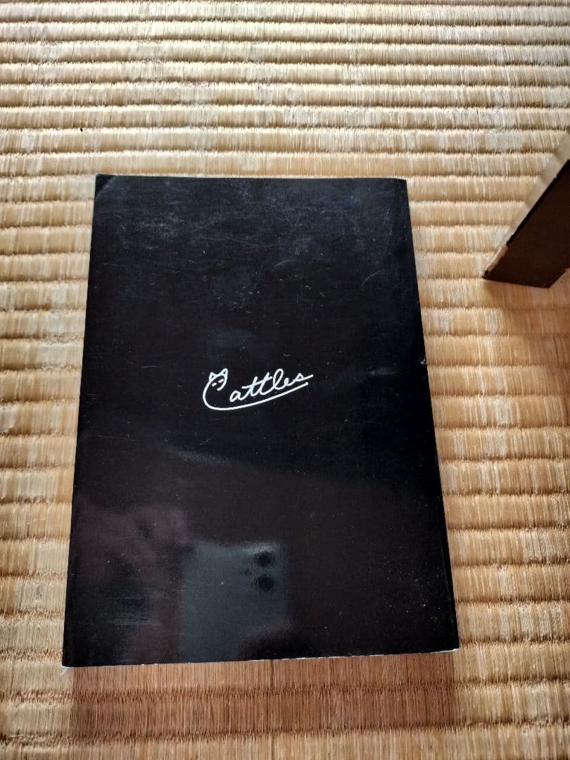 美品　黒猫アイランド　トレードへの取り組み方　キャットルズ