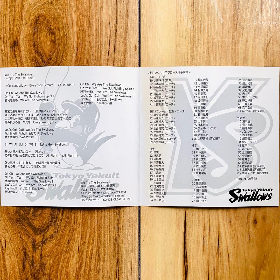 林田健司「We Are The Swallows」