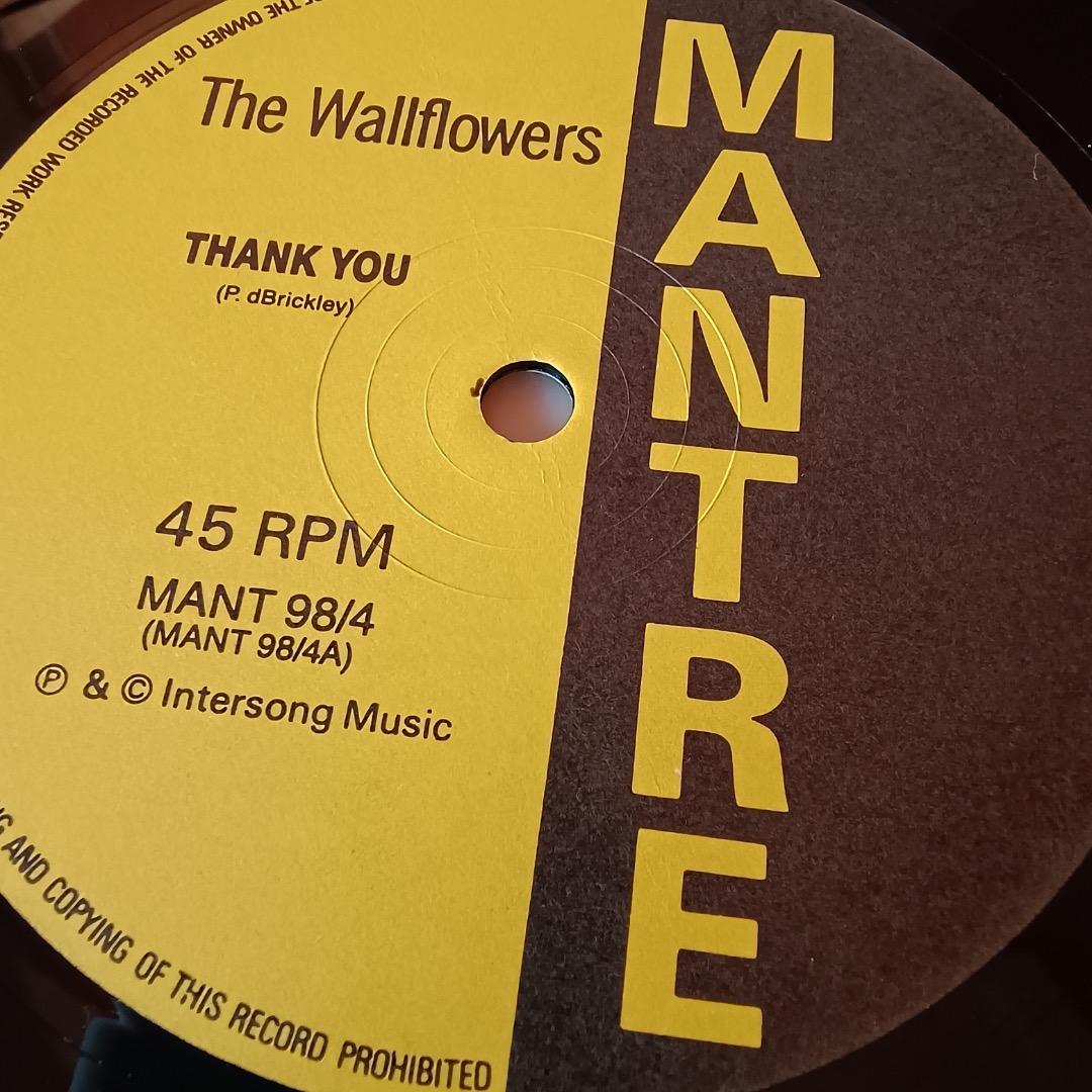 洋楽 Thank you (12\"single )/The Wallflowers
