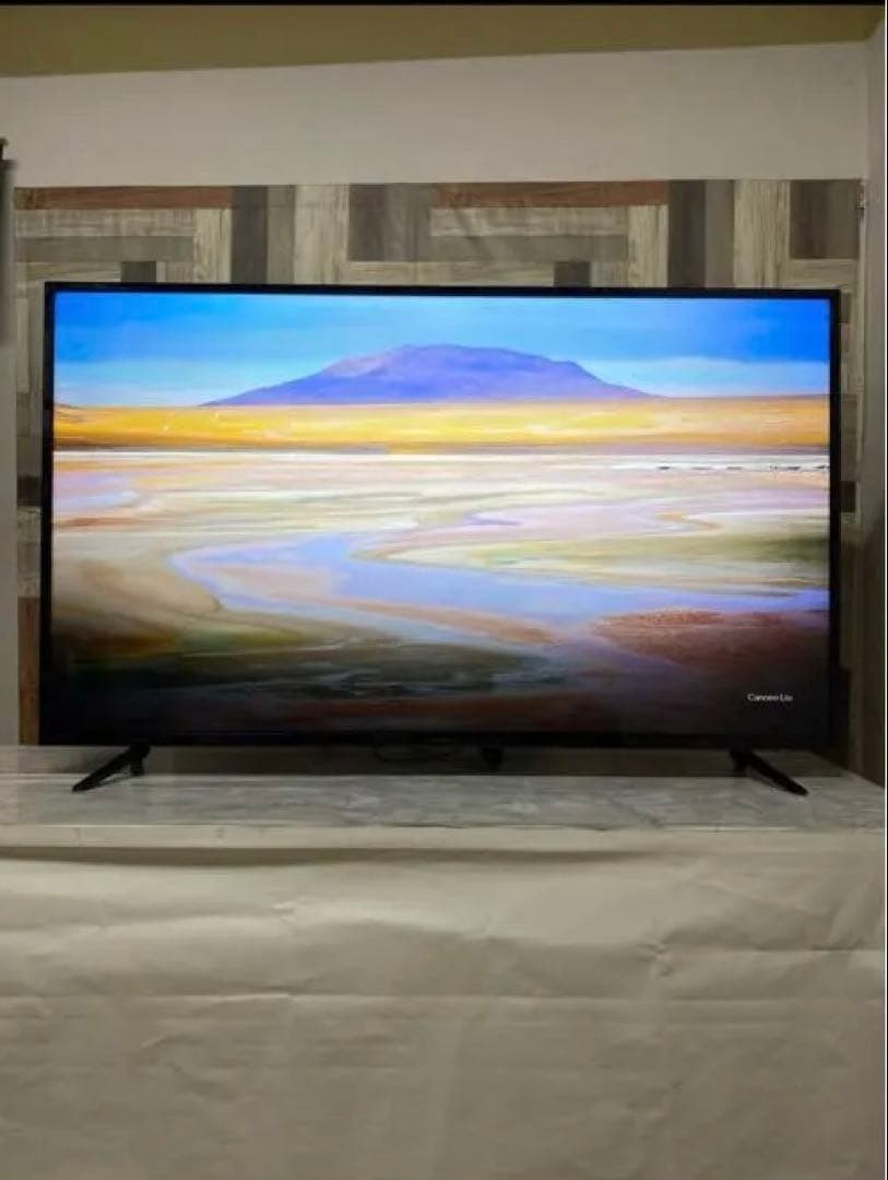 高解像度液晶モニタージャパンネクスト 55型 4K ブルーカット チューナーレス